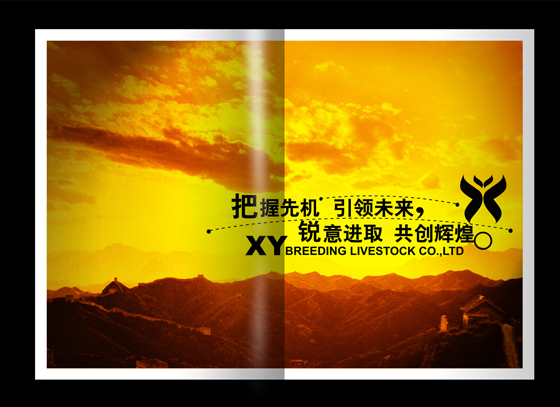 XYN ӱO(sh)Ӌ